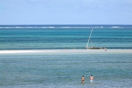 jacaranda bay
